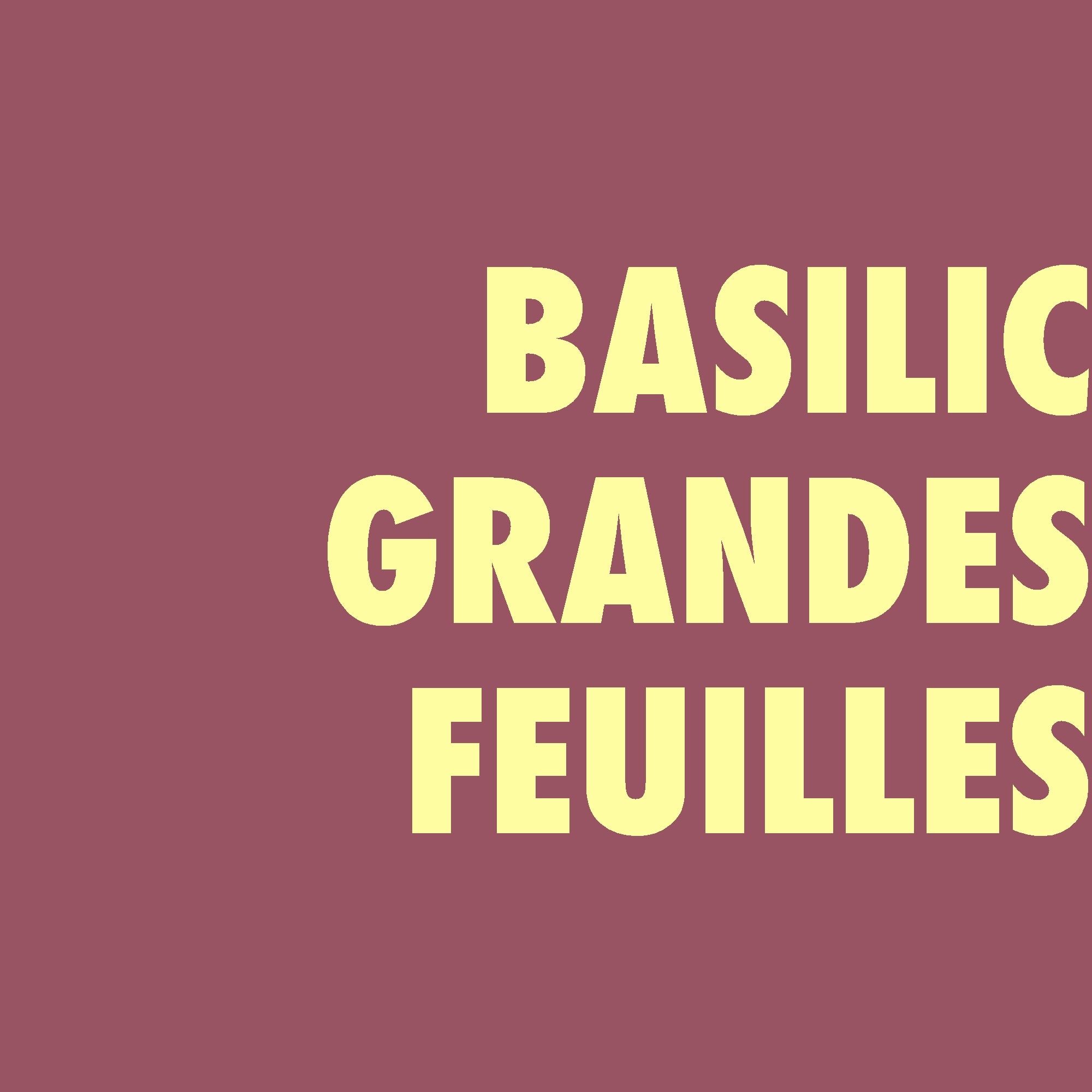 Basilic