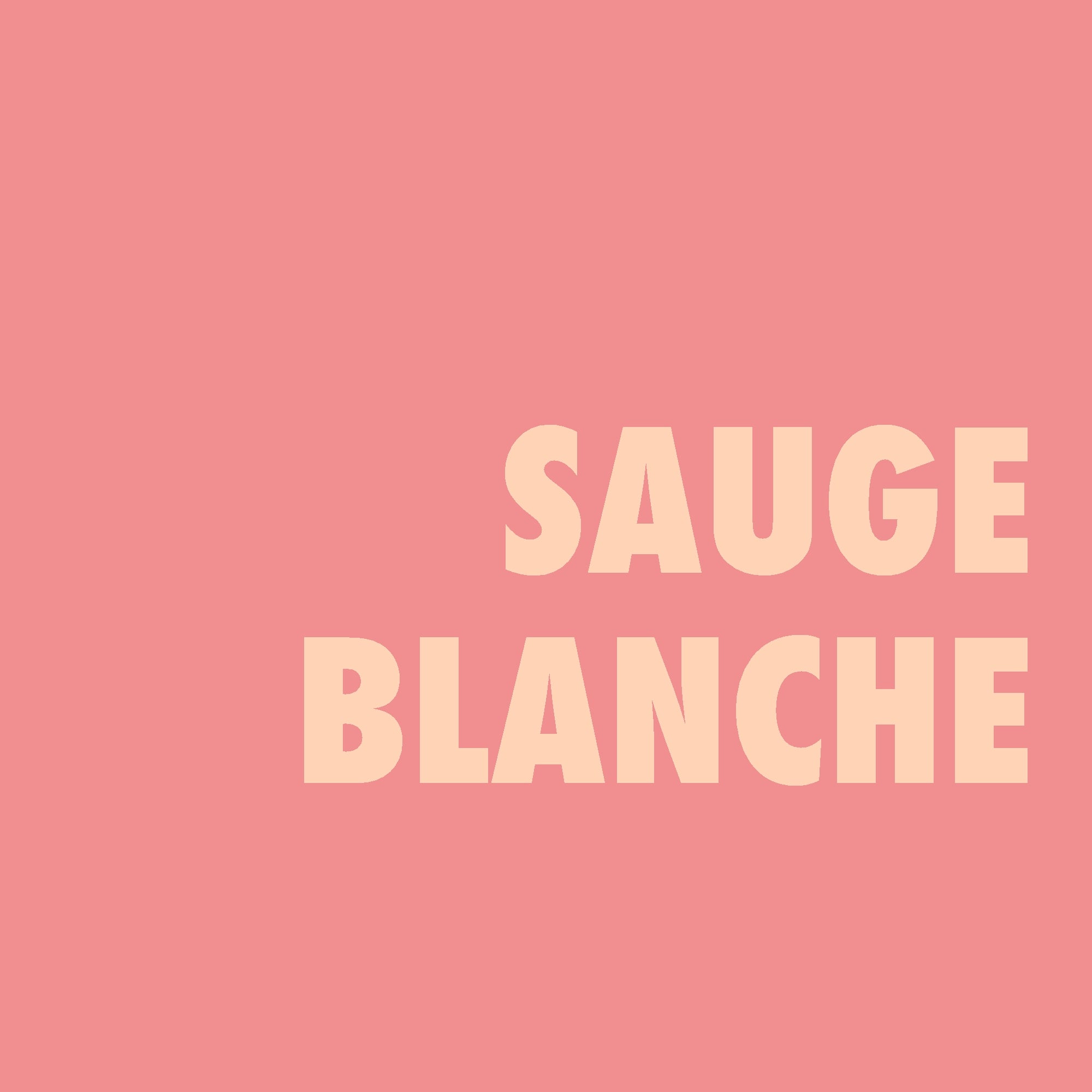Sauge blanche