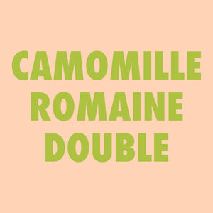 Camomille romaine double