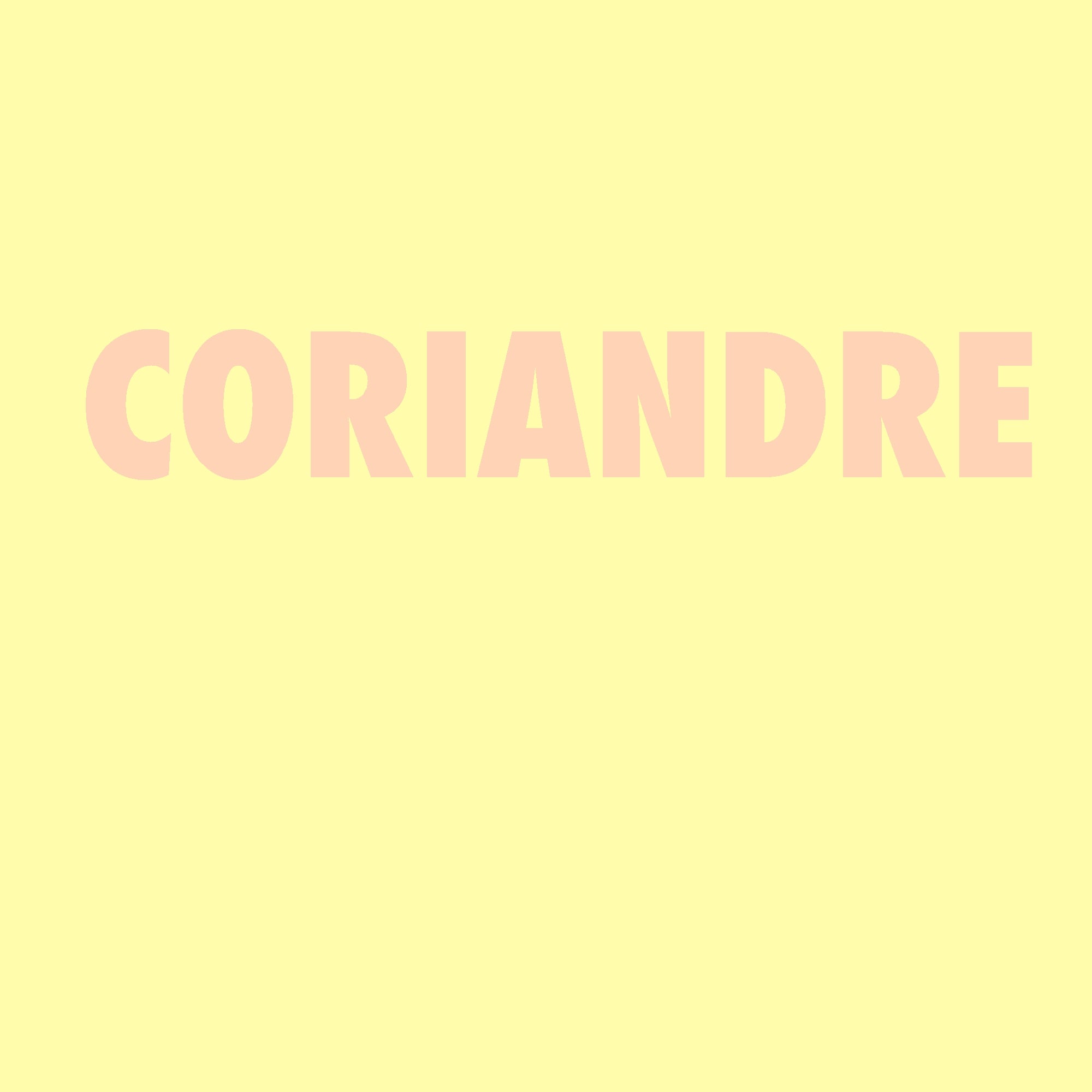 Coriandre
