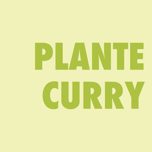 Plante curry - Helichryse