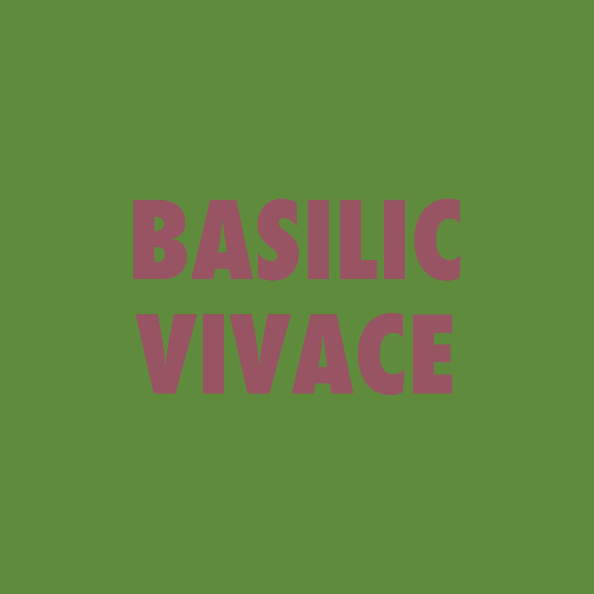 Basilic vivace